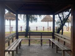 -北海金海湾红树林生态旅游区