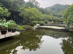 -云溪植物园