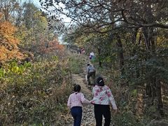 -青龙山国家森林公园