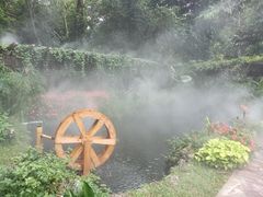-中国科学院西双版纳热带植物园
