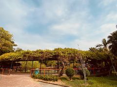 -纪念孙中山市政公园