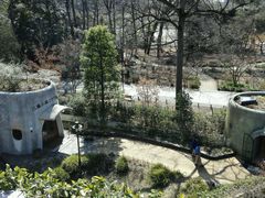 android_upload_pic-三鹰之森吉卜力美术馆