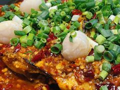 -鱼酷活鱼烤鱼(沈阳大悦城店)