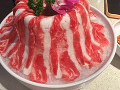 -小龙坎火锅(全球旗舰店)