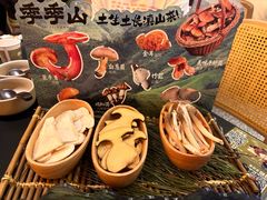 -季季山•云南野生菌火锅(上海首店)