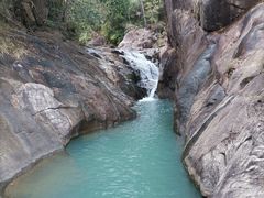 -广州白江湖森林公园