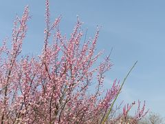-钟山体育运动公园