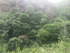-乌龙峡谷景区