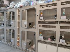 -唐小姐の私宠·宠物洗护美容·撸猫馆·购宠(周浦万达旗舰店)