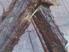 -张鸭子重庆特产卤味小吃(未来国际店)