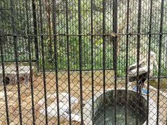 -紫马岭公园