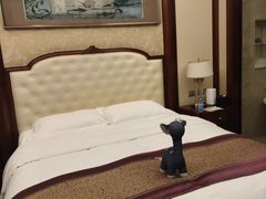 -唐山河头老街国丰维景度假大酒店