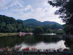 -广州市帽峰山景区