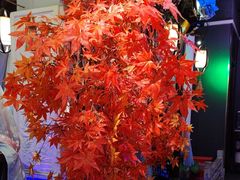 -钱塘秋荷(开鲁路店)