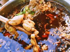 -蛙两只美蛙鱼头火锅(恒茂店)