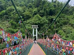 -西双版纳原始森林公园