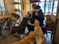 -萌喵宠狗爱心宠咖
