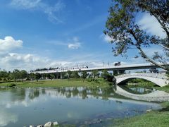 -宝安西湾红树林湿地公园