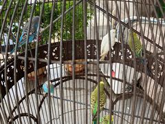 -老味道民宿(栈桥店)