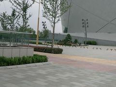 -郑州大剧院