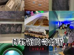 -白鹤梁水下博物馆
