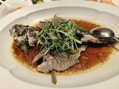 -粤珍轩·家宴·广式茶点(新城广场店)