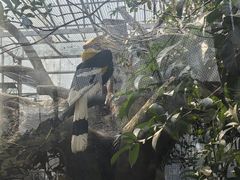 -常州淹城野生动物世界