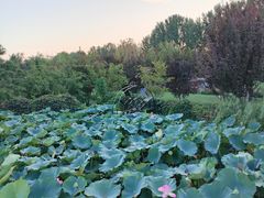 -静之湖度假区