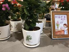 -海底捞火锅(泰安爱琴海店)