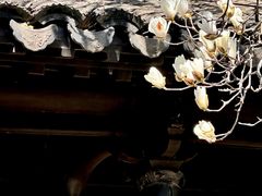 -黎里柳亚子纪念馆