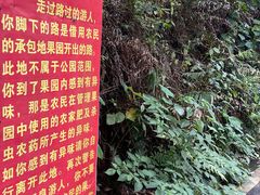 -三门江国家森林公园