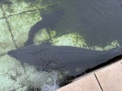 -天源渔港农庄