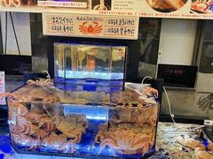 -蟹道乐(道顿堀本店)