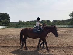 -月河湾马术俱乐部(朝阳店)