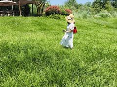 -桤木河湿地公园