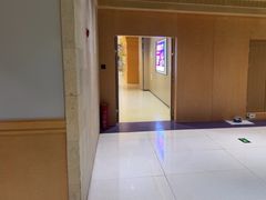 -帕帕拉兹宠物(亚洲旗舰店)