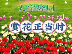 -大宁公园