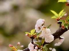 -江南大学(蠡湖校区)