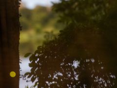 -福建鲤鱼洲酒店