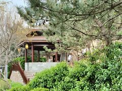 -徂徕山森林康养度假谷温泉