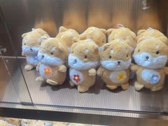 -金色印象·4K影院式足体养生(南方花园店)