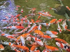 -威海华夏城景区