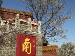 -戏马台景区