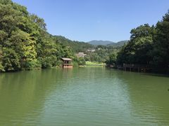 -洪崖丹井