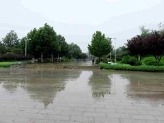-望湖公园