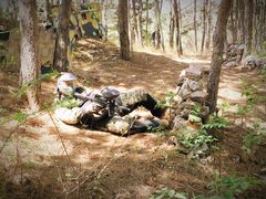 -凤凰山标靶彩弹射击场