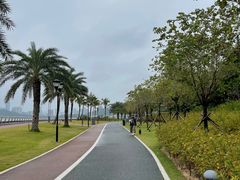 -野狸岛