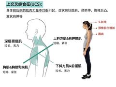 -CXFIT 陈徐健身工作室(凯旋店)
