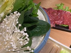 -肚社毛肚火锅