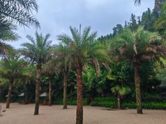 -腾冲洞山温泉村